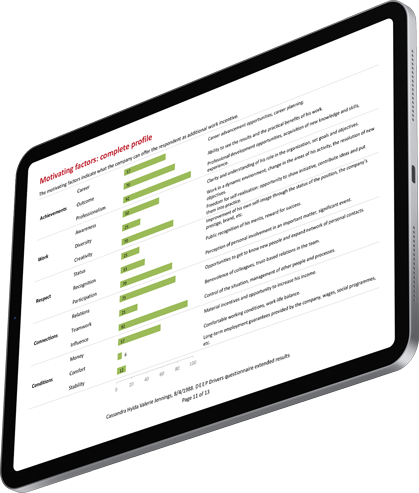 Display of the individual report based on the results of the assessment of motivating and demotivating factors (PDF or Word file, opened on an iPad). The results are shown in 20 graphs with comprehensive descriptions